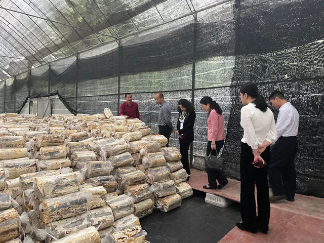 彩票网站