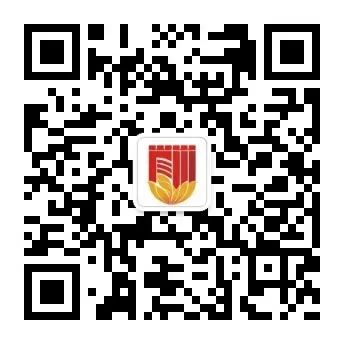 彩票网站