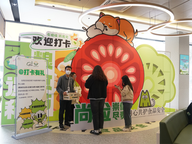 彩票网站