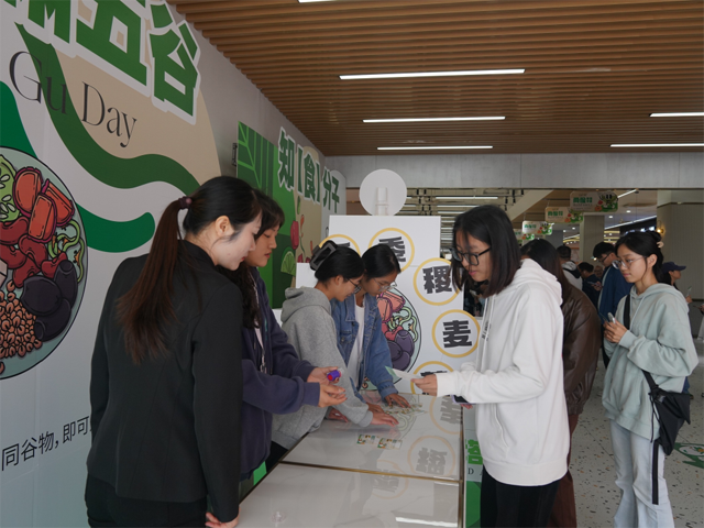 彩票网站