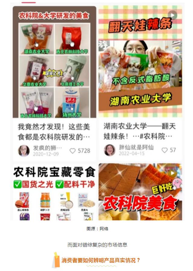 彩票网站