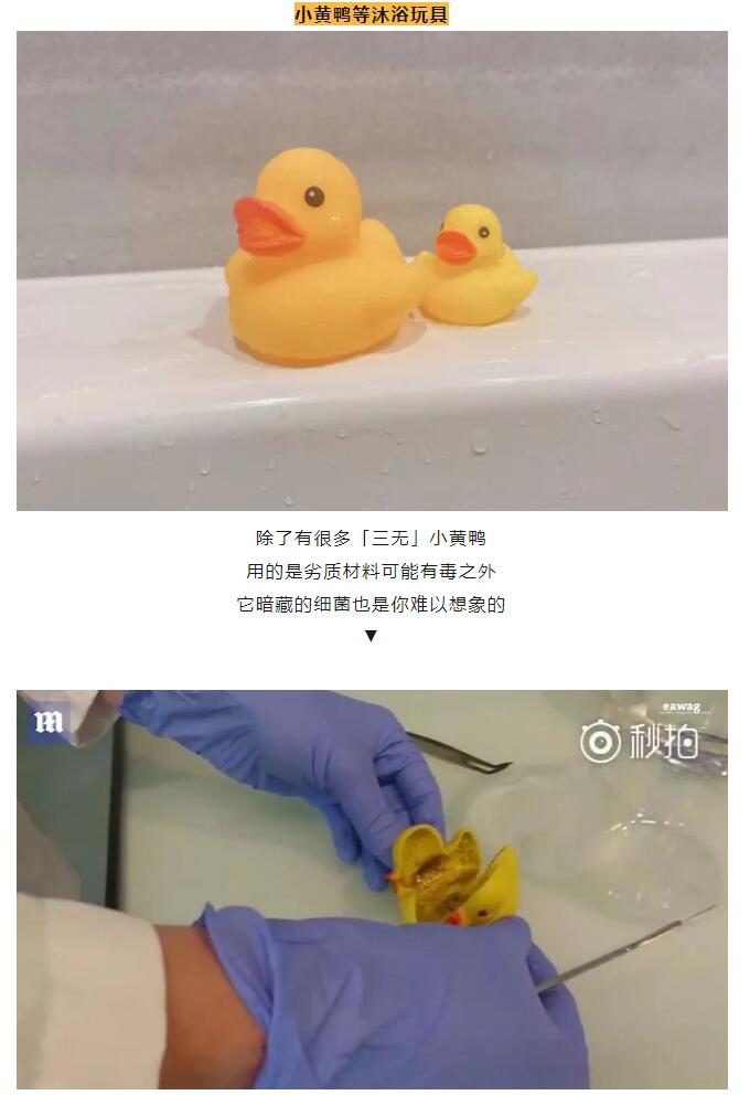 彩票网站