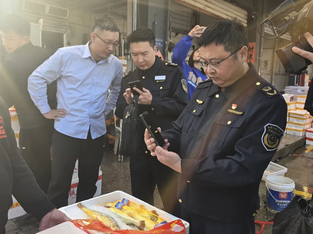 彩票网站