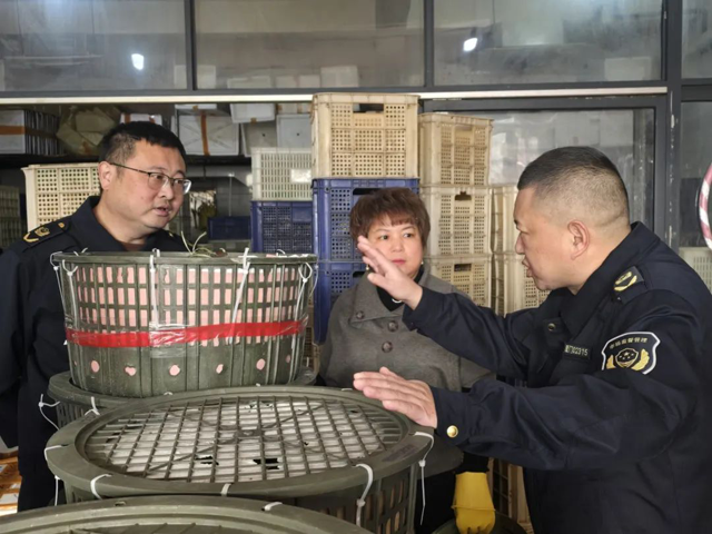 彩票网站