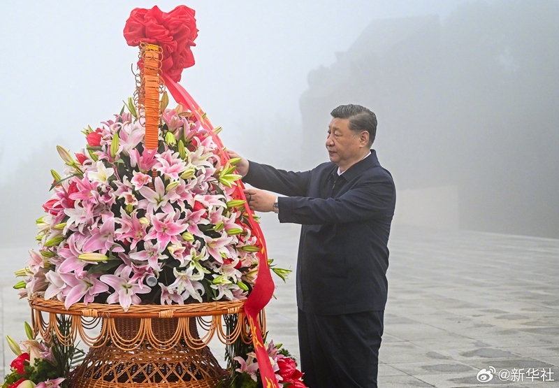 彩票网站