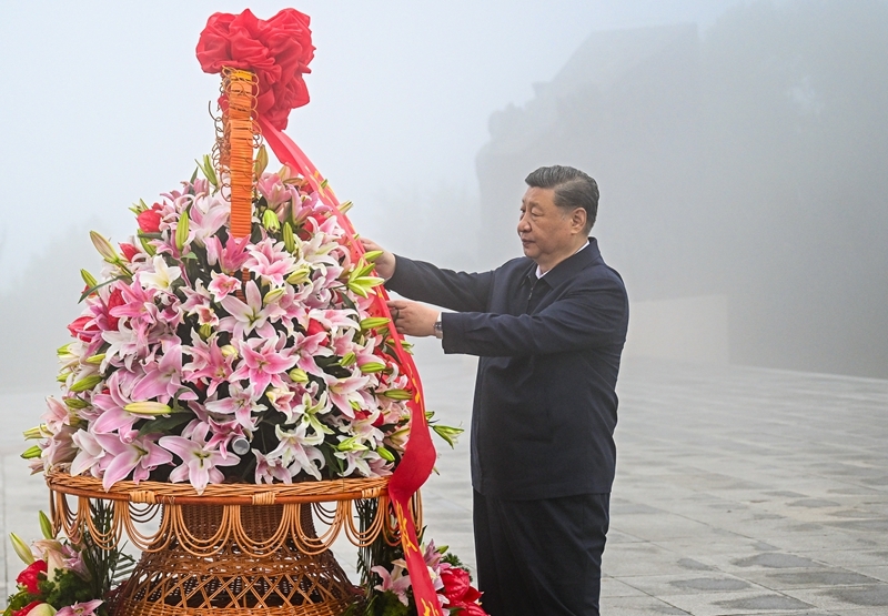 彩票网站