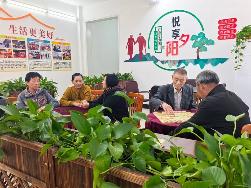 彩票网站
