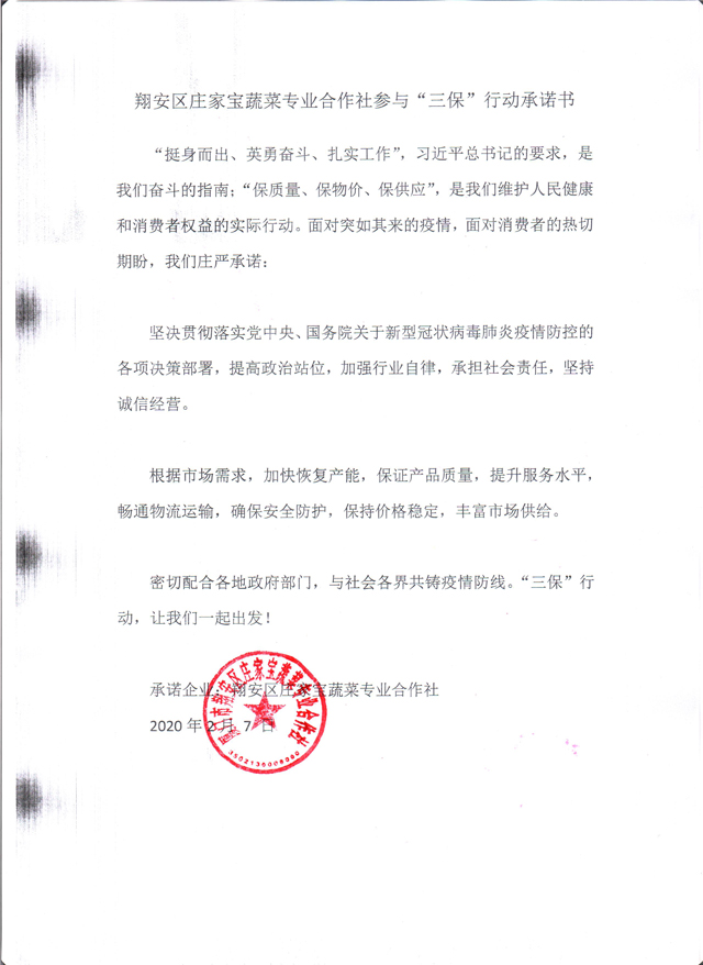 彩票网站
