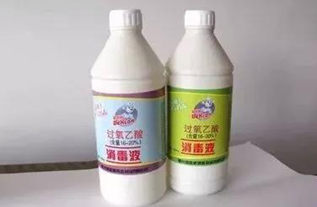 彩票网站