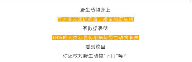 彩票网站