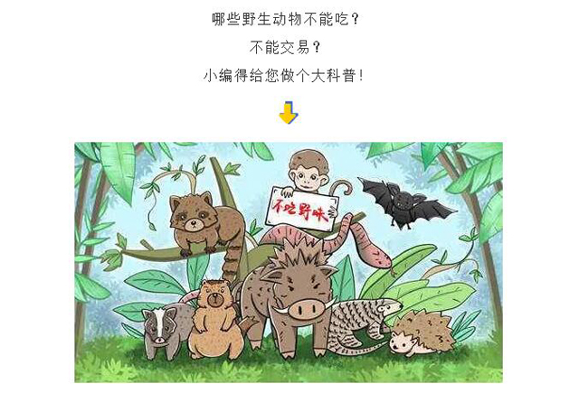 彩票网站