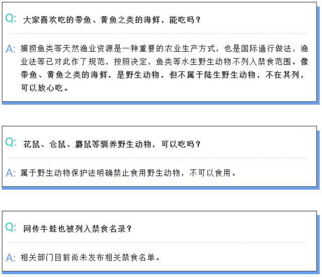 彩票网站