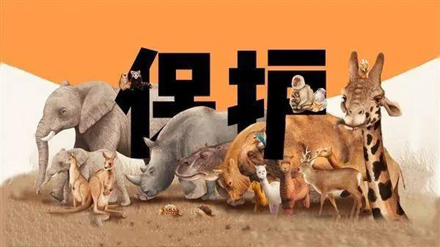 彩票网站