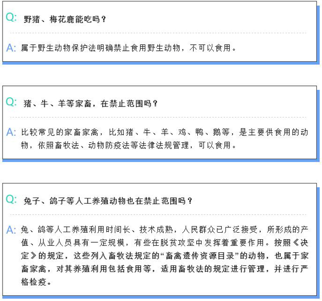 彩票网站