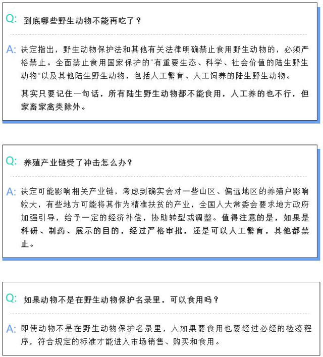 彩票网站