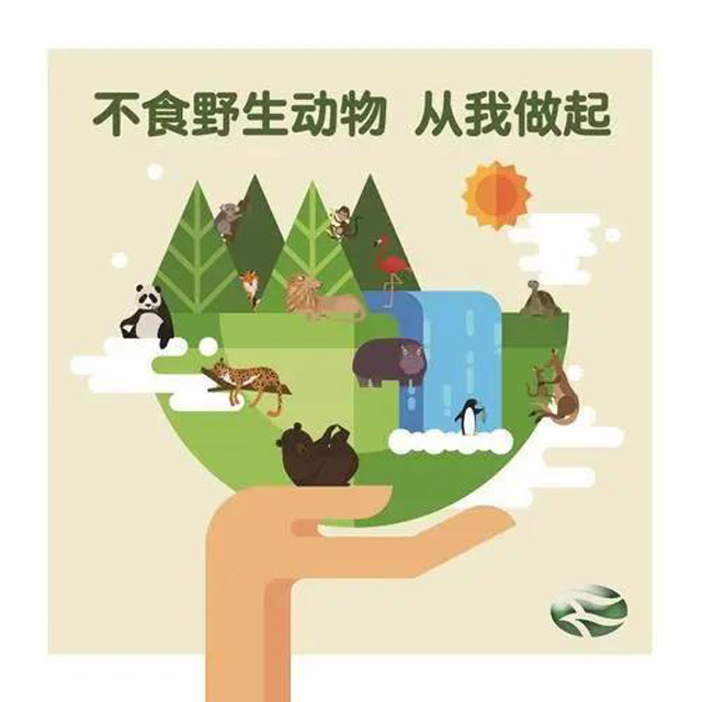 彩票网站