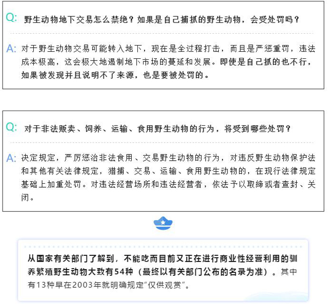 彩票网站