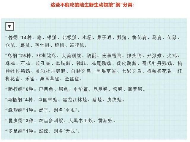 彩票网站
