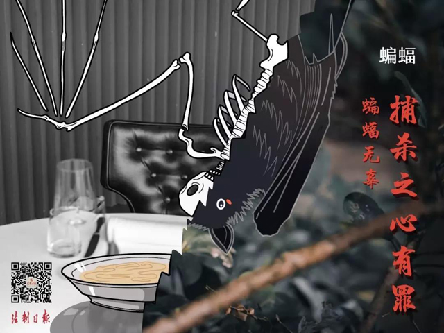 彩票网站