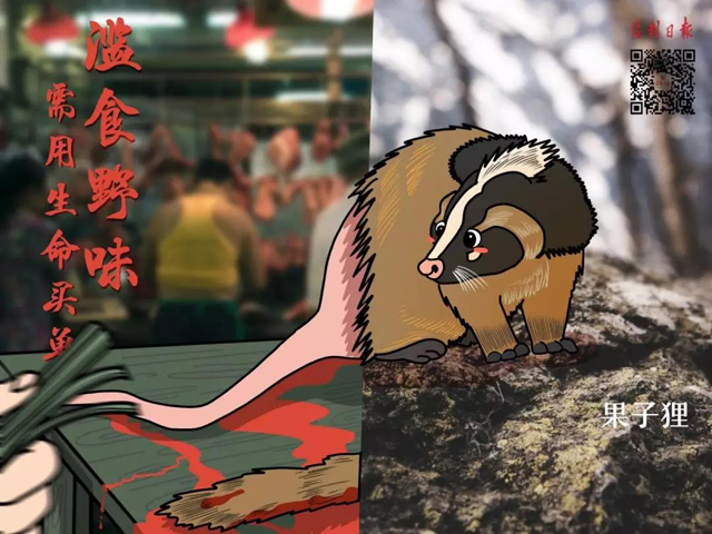 彩票网站