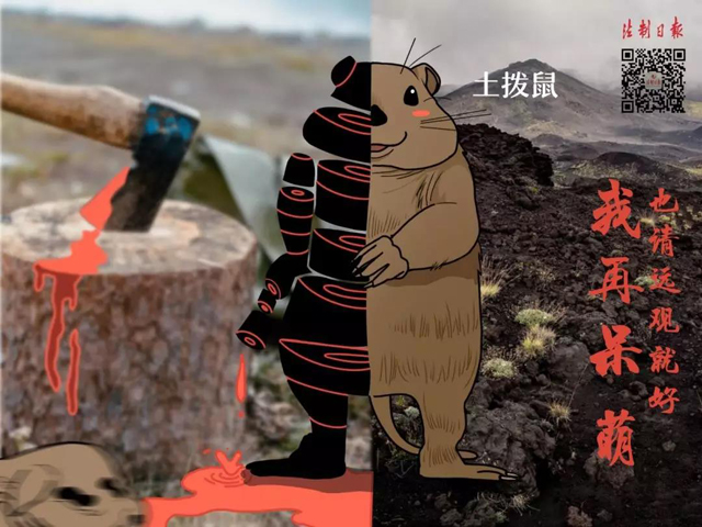 彩票网站