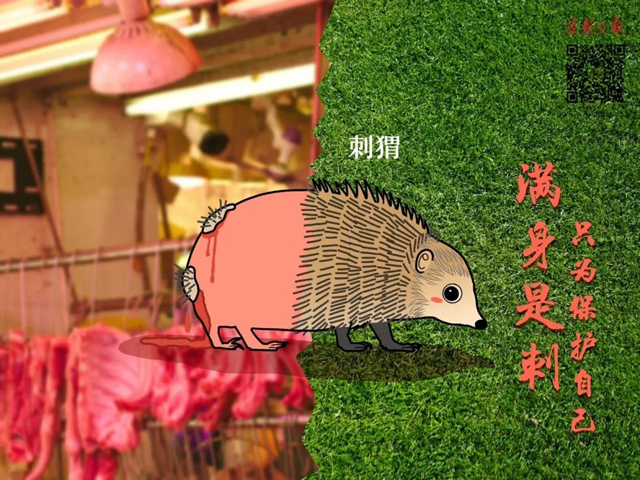 彩票网站