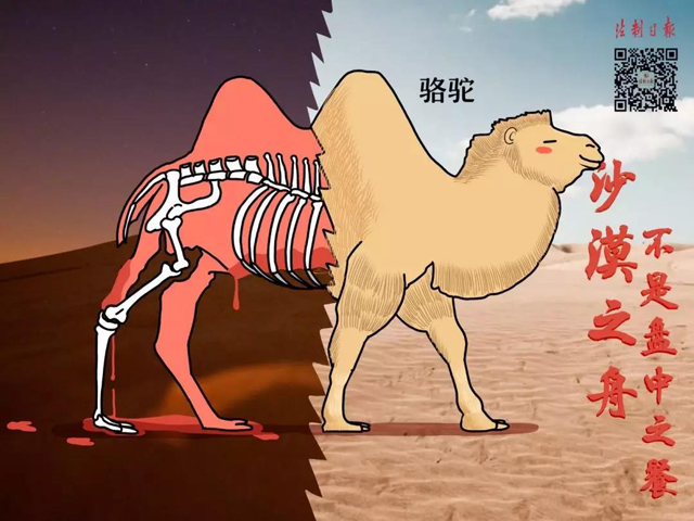 彩票网站