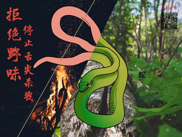 彩票网站