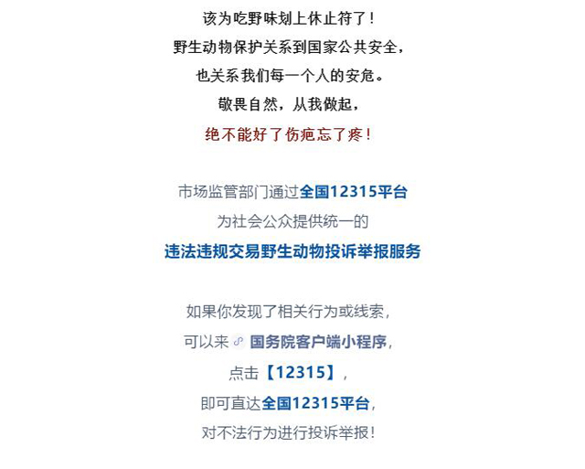 彩票网站