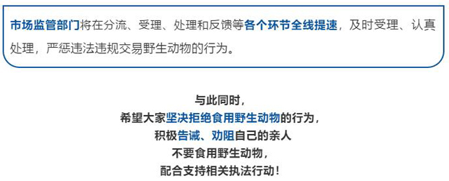 彩票网站