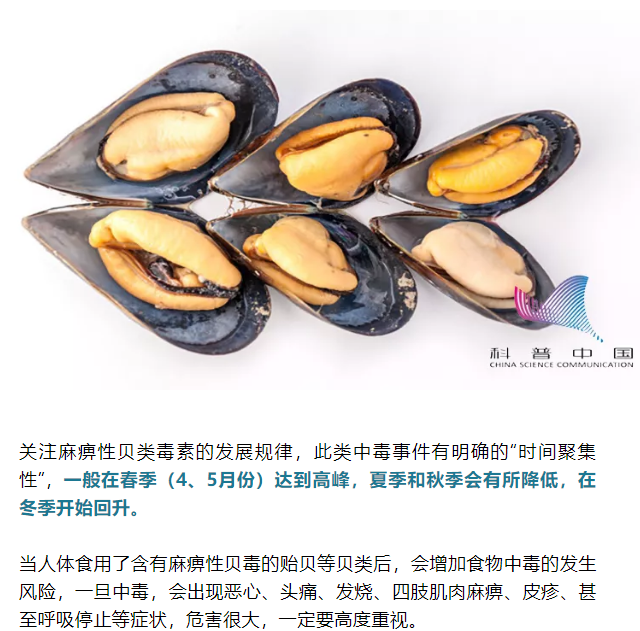 彩票网站