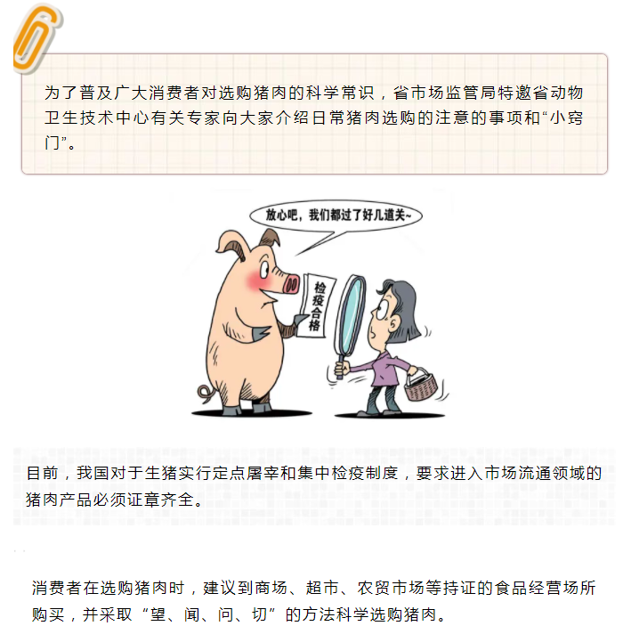 彩票网站