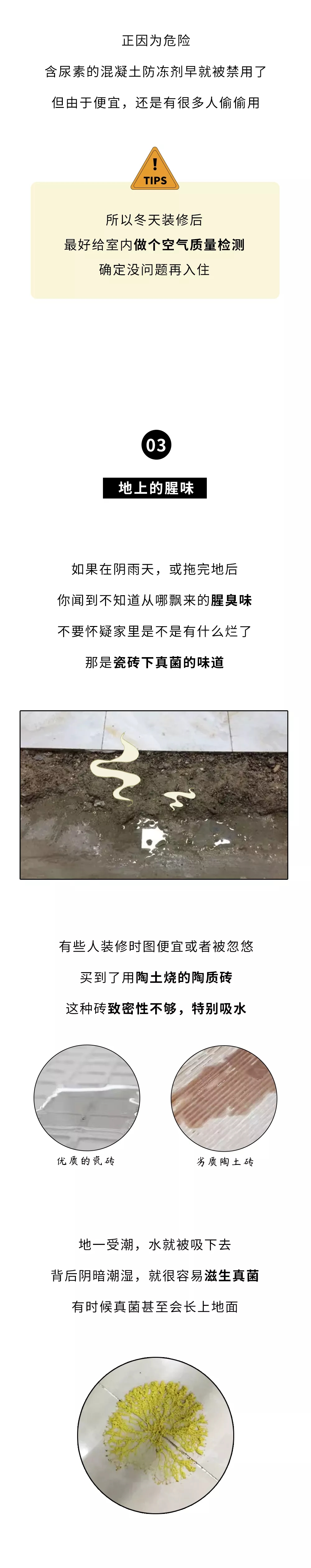 彩票网站