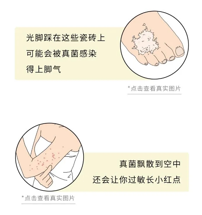 彩票网站