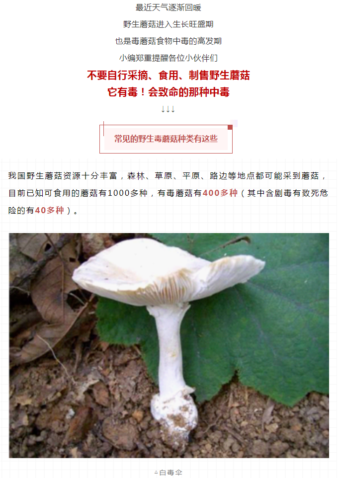 彩票网站