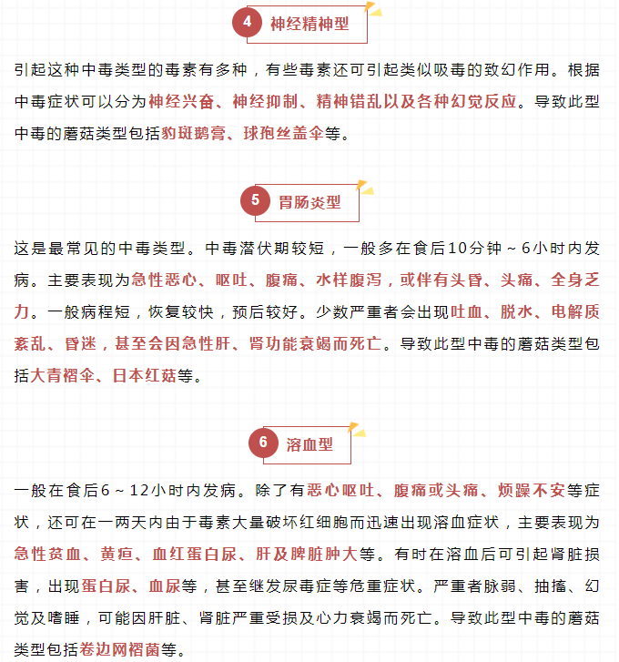 彩票网站