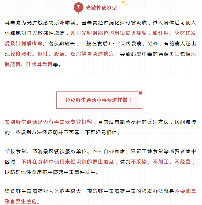 彩票网站
