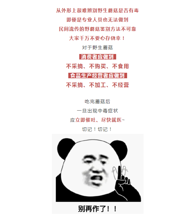 彩票网站