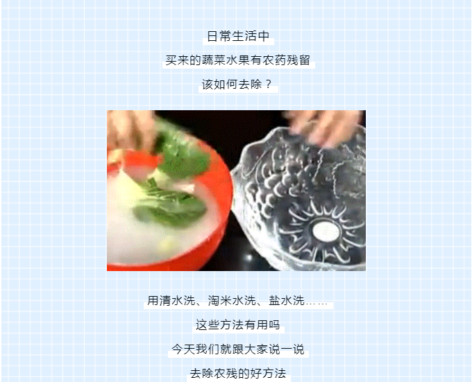 彩票网站