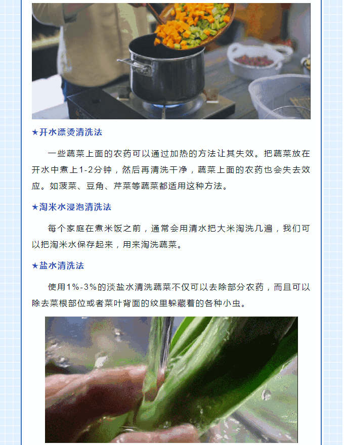 彩票网站