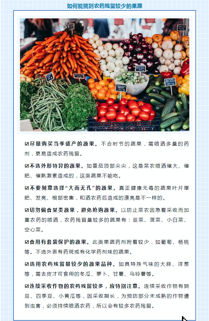 彩票网站