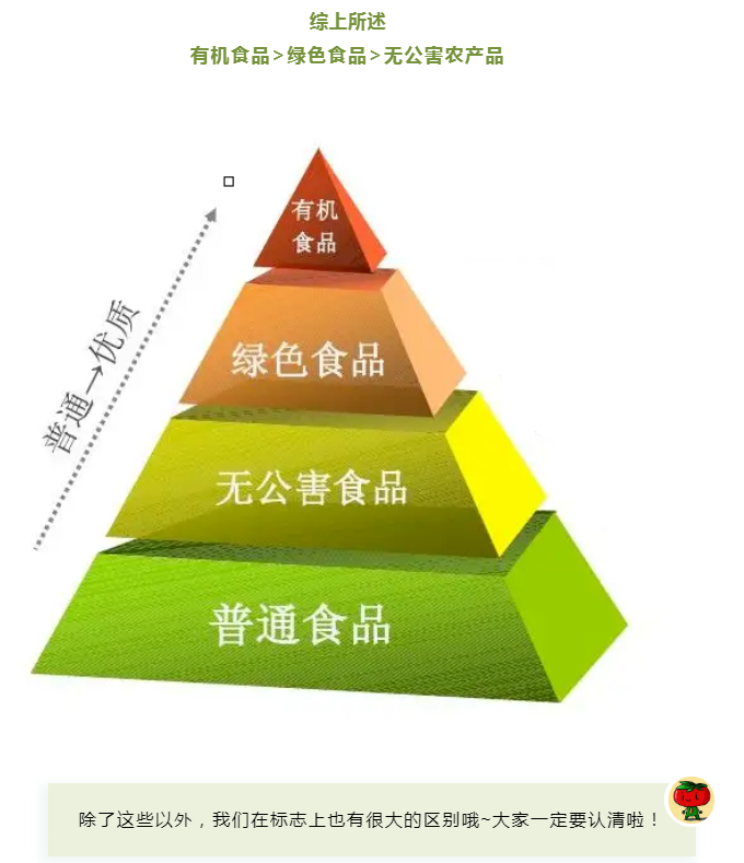 彩票网站
