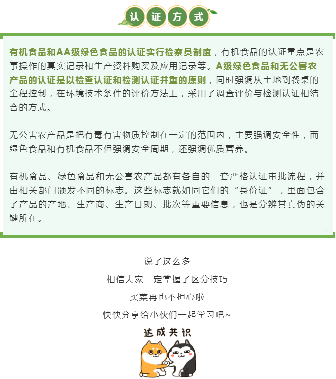 彩票网站