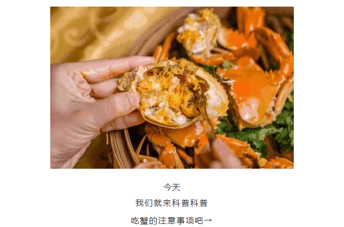 彩票网站