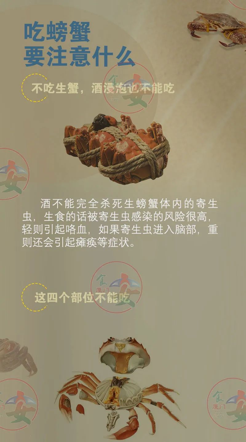 彩票网站