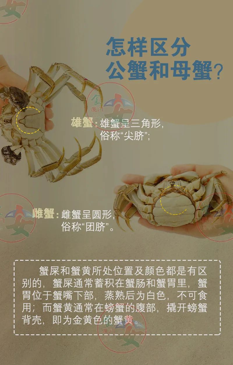 彩票网站