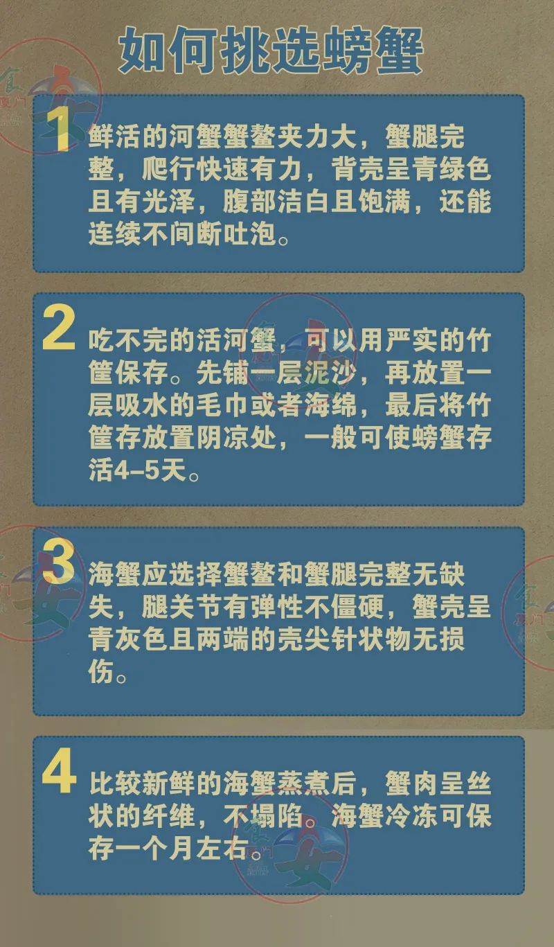 彩票网站