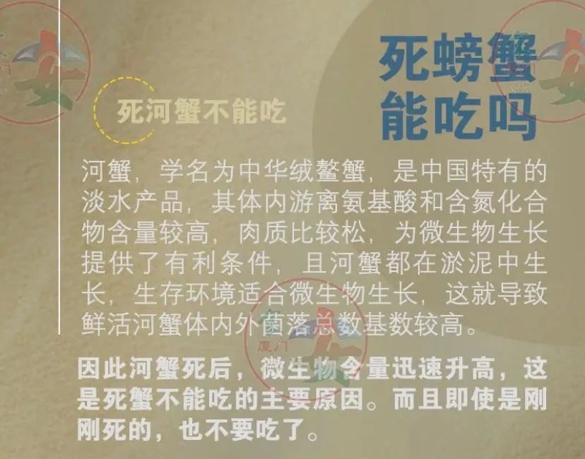 彩票网站