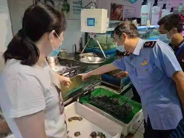 彩票网站