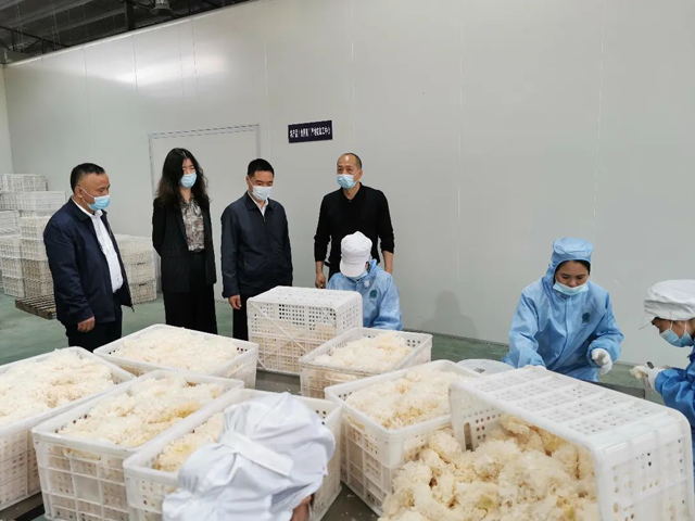彩票网站